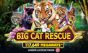 ftrgame Big Cat Rescue Megaways